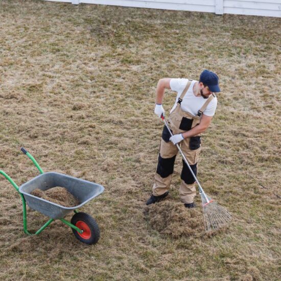 How to Renovate Your Lawn and Bring It Back to Life