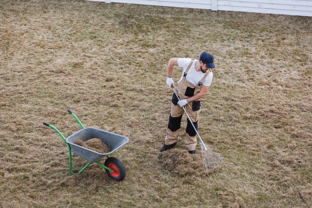 How to Renovate Your Lawn and Bring It Back to Life